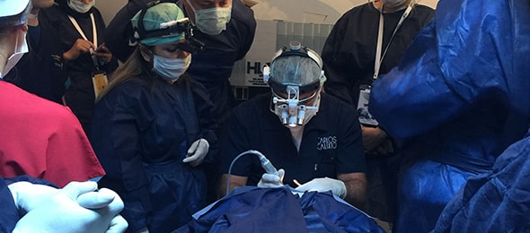Excelência mundial em transplante capilar